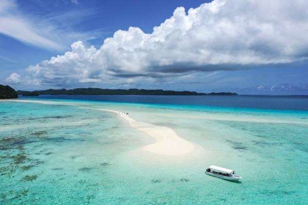 Jellyfish Lake