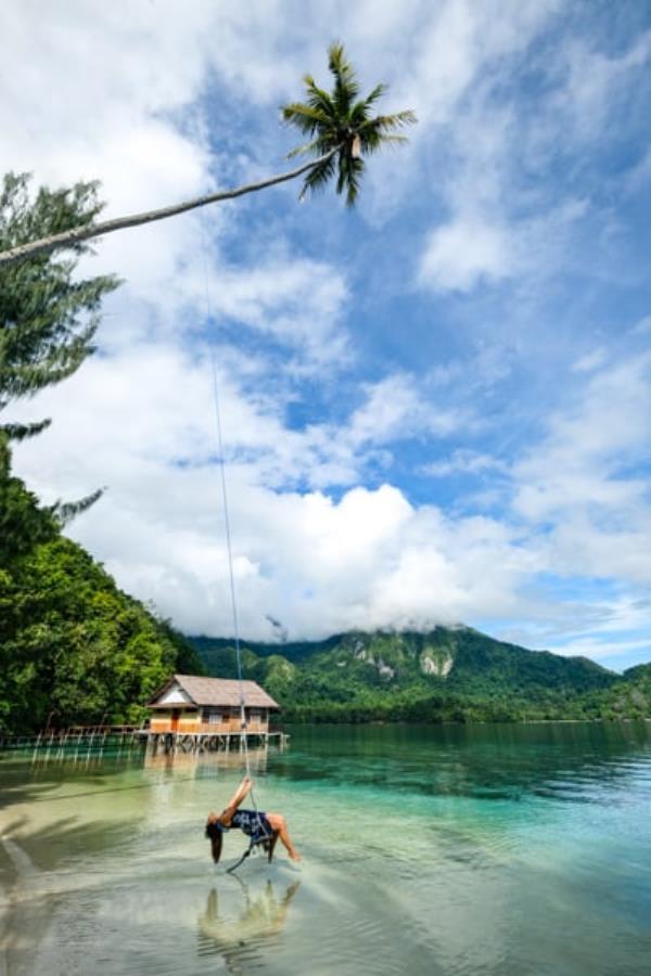 Ora Beach Resort Seram Island Maluku Indo<em></em>nesia Tree Swing