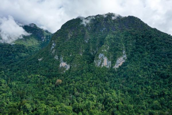 Manusela Natio<em></em>nal Park Seram Island